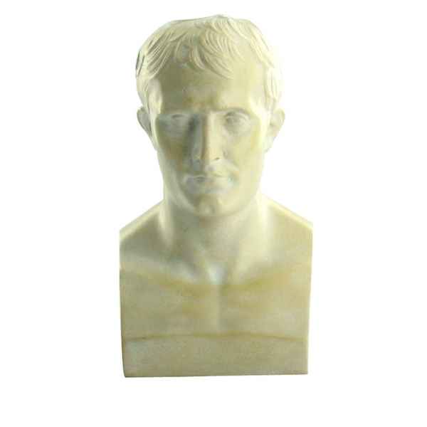 Buste de napoleon 1er Rmngp -RF005754